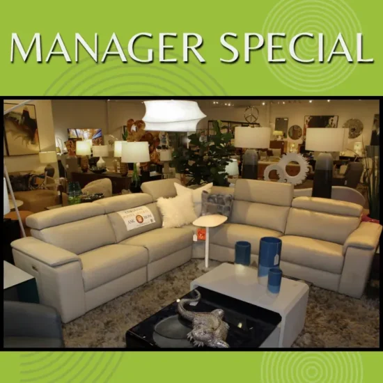 MANAGER SPECIAL - ITALIAN HOMES Indy sectional